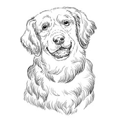 Golden Retriever Hand Drawing Dog