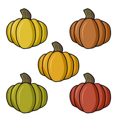 Large Orange And Red Ripe Pumpkins