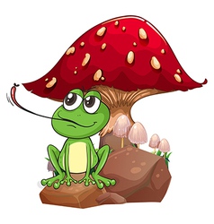 A Frog Catching Fly Near The Giant Mushroom