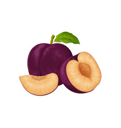 Plum Ripe Purple Fresh Sweet Ripe Juicy