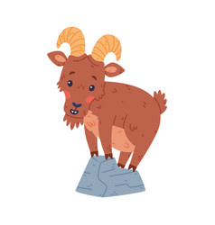 Urial Character As Wild Mountain Sheep With Horns