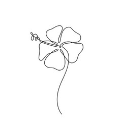 Hibiscus Line Art Flower Continuous Line