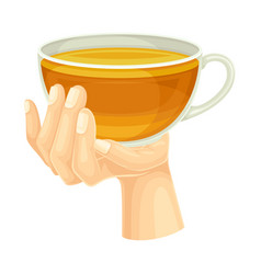 Hand Holding Glass Cup Of Tea