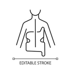 Scoliosis Brace Linear Icon