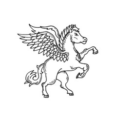 Pegasus Medieval Heraldic Horse Animal Sketch