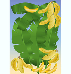 Banana And Leaves Background