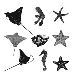 Set Of Monochrome Marine Animals