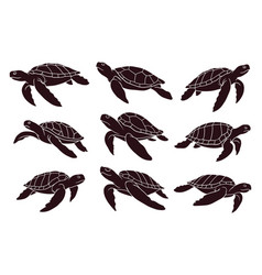 Hand Drawns Silhouette Of Sea Turtles