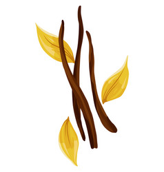 Vanilla Leaf Pods And Sticks Realistic