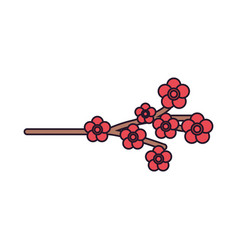 Sakura Flowers Branch