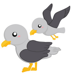 Seagull Animal Bird Clipart