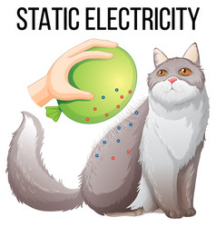 Static Electricity Experiment With Balloon And Cat