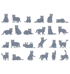 British Shorthair Cat Icons Set Cartoon