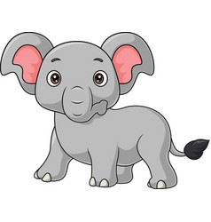 Cartoon Baby Elephant On White Background