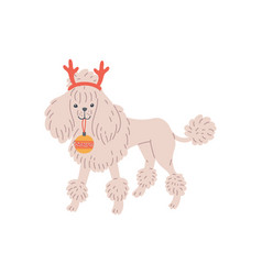 White Dog Poodle With Deer Antlers And Christmas