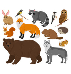 Cartoon Forest Animals Owl Bear Fox Raccoon And