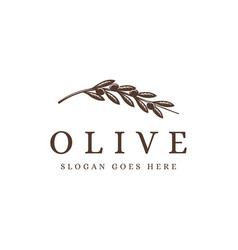 Vintage Olive Branch Logo Olive Tree Olive Plant