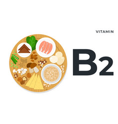 Vitamin B2 Or Riboflavin Flat Style