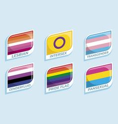 Flat Pride Month Lgbt Flags Set