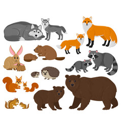 Cartoon Forest Woodland Animals Mothers With Cute