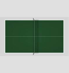 Table Tennis Top View