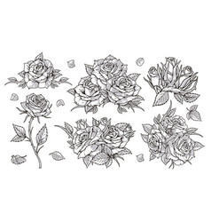 Organic Roses Set Stickers Monochrome