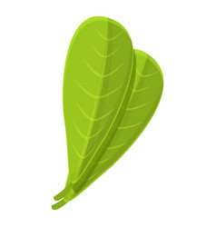 Shea Tree Leaf Icon Cartoon Style