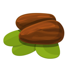 Shea Tree Nuts Icon Cartoon Style