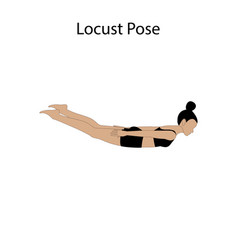 Locust Pose Yoga Workout Healthy Lifestyle