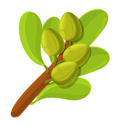 Shea Tree Branch Icon Cartoon Style