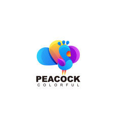 Peacock Colorful Design Gradient Template