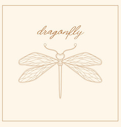 Art Nouveau Style Dragonfly Insect Basic Element