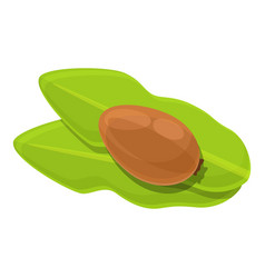 On Leaf Shea Tree Green Nut Icon Cartoon Style