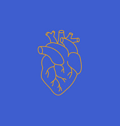 Heart Shape Icon Anatomy Yellow Outline