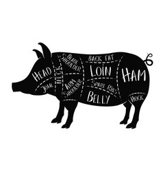 Butchers Guide - Pork