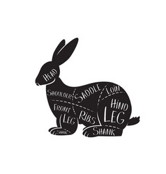 Butchers Guide - Rabbit