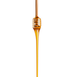 Honey Flowing Off Wooden Dipper