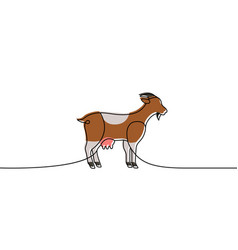 Goat One Line Colored Continuous Drawing