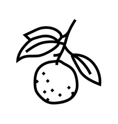 Branch Mandarin Leaf Line Icon