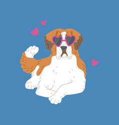 Saint Bernard Breed Dog With Glasses In Shape