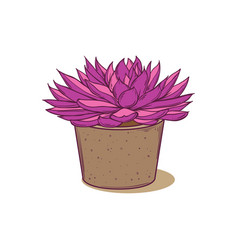 Succulent Plant In Concrete Pot Hand Drawn