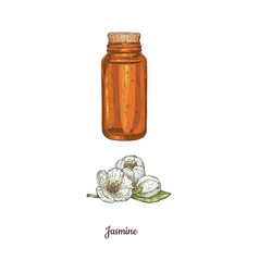 Bottle Of Jasmine Aromatic Oil And Flowers