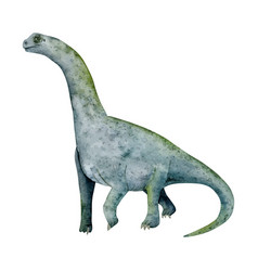 Camarasaurus Or Brachiosaurus Sauropod Dinosaur