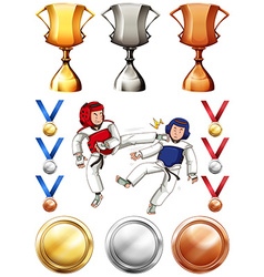 Taekwondo And Many Trophies And Medals