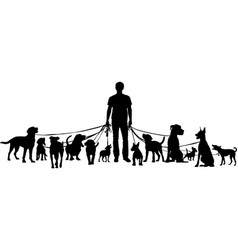 Man Walking With Some Dogs