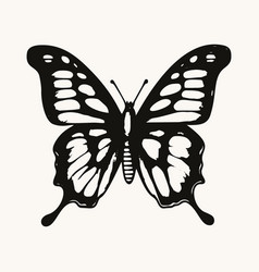 Black And White Butterfly