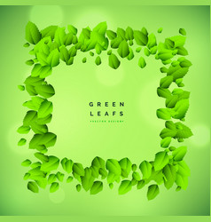 Green Background With Leaf Frame