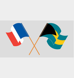 Crossed And Waving Flags Of Bahamas And France