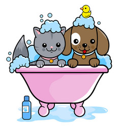 Dog And Cat In A Tub Taking A Bath