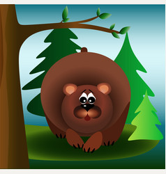 Brown Bear In The Forest Under The Tree Children S